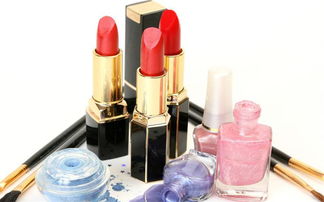 世纪佳人化妆品连锁代理加盟费用及进出口代理服务解析