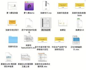 报告老板 狮厂UX设计师干了件神秘的事，藏在应用服务里